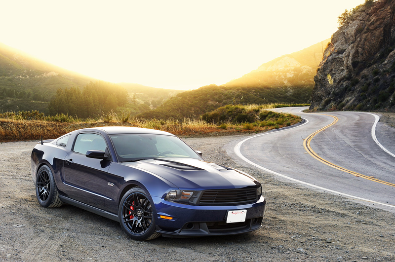 Illustration for article titled I drove all the fast Fords